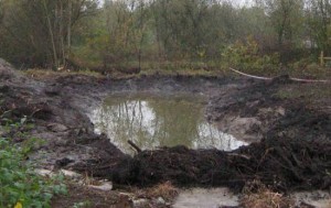 болотные почвы, требуют осушения чтобы их использовать