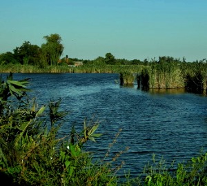 река Бейсуг 