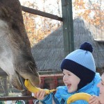 Краснодарский "Сафари-парк" исполняет детские мечты