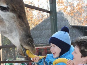 Краснодарский "Сафари-парк" исполняет детские мечты